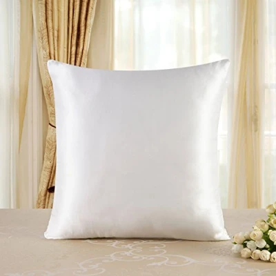 Imagen de TOWNSSILK Funda de Almohada 100% Seda Morera, cuida el Cabello y la Piel, Ambos Lados 19 Momme, 1 Unidad,Naturalwhite， 80 x cm