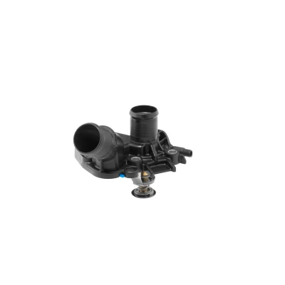 Imagen de Termostato, refrigerante WAHLER 411025.89D