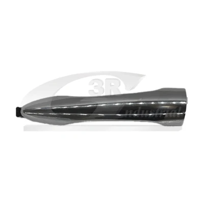 Imagen de Manecilla exterior de la puerta 3RG 69801