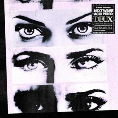 Imagen de PRESENTS NEXT WAVE ACID PUNX DEUX