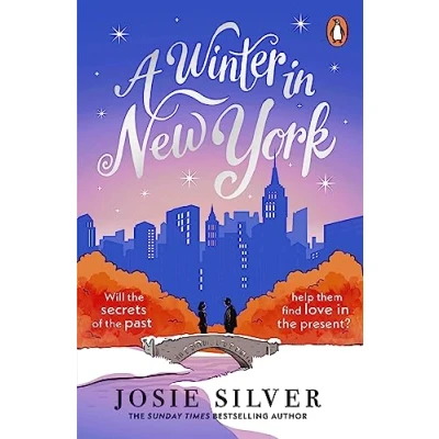 Imagen de A winter in new york