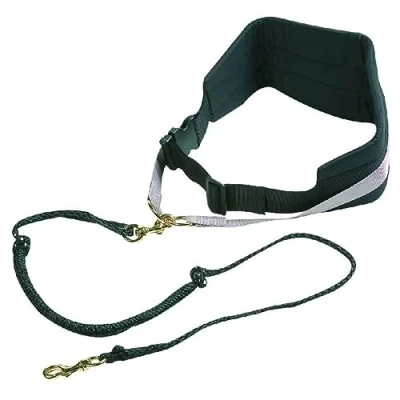 Imagen de Flamingo 504916 Canicross para Perro