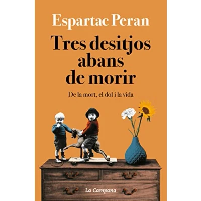 Imagen de Tres desitjos abans De morir: la mort, el dol i vida (Divulgació)