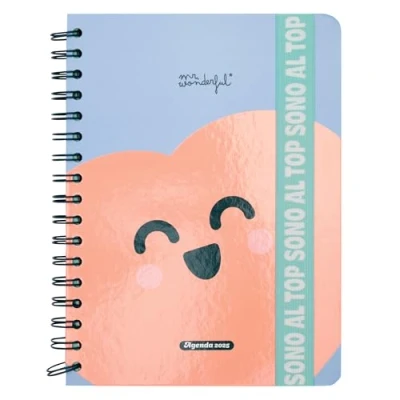 Imagen de Mr. Wonderful Agenda Wonder 2025 semanal Están al top Incluye 8 hojas de pegatinas y bloques notas adhesivas con diferentes formas