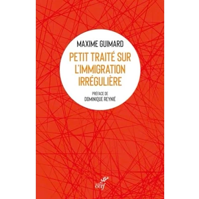 Imagen de Petit Traité Sur Limmigration Irrégulière (ebook)