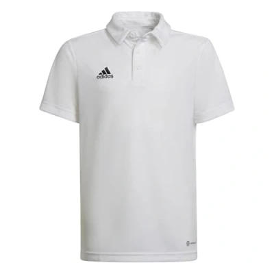 Imagen de Polo para niños adidas Entrada 22