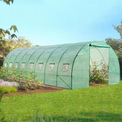 Imagen de Probache Invernadero en túnel (grande, arcos galvanizados, 24 m², 8 x 3 2 m)