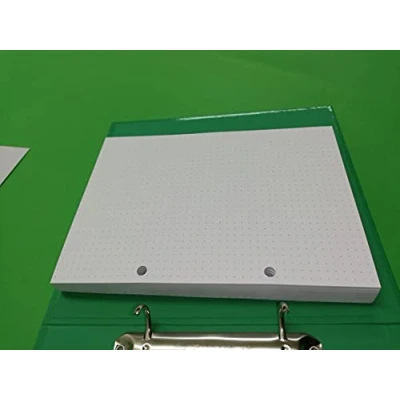 Imagen de Recarga de 100 hojas (200 páginas) 2 agujeros A5 14,5 x 20,5 cm Puntas 5 mm Dotted Bullet Journal DIN holes para carpeta con anillas