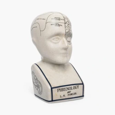Imagen de ACL Frenología Cabeza Adorno de cerámica Coleccionable Retro Busto Acabado esmaltado Escritorio médico LN Fowler Estatua adivinación Sentidos cerebrales 28 cm Blanco