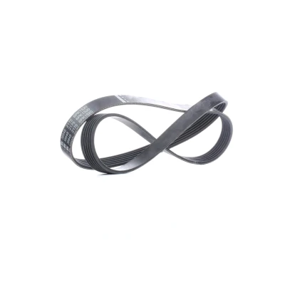Imagen de FEBI BILSTEIN 38848 Correa trapecial poli V 1520 6 EPDM (Ethylen Propylen Dien Caucho) FORD: Focus 2, 2 Limousine, C Max