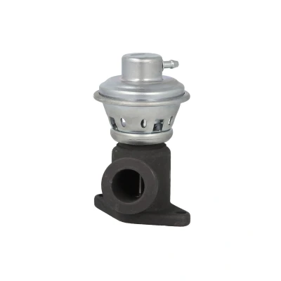 Imagen de Válvula EGR MAGNETI MARELLI 571822112220