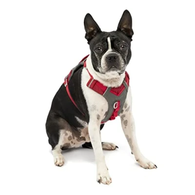 Imagen de Kurgo Journey Air Arnés para Perro, Reflectante Correr Pasear Caminar y Viajes, Ajustable Rojo, XS