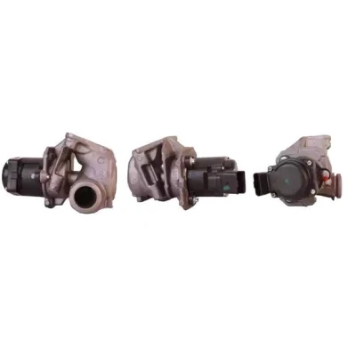 Imagen de ELSTOCK 72 0002 Válvula EGR eléctrico con juntas CITROËN: C4 Picasso 1, Xsara Picasso, Berlingo II, FORD: Focus 2, C Max, FIESTA 5