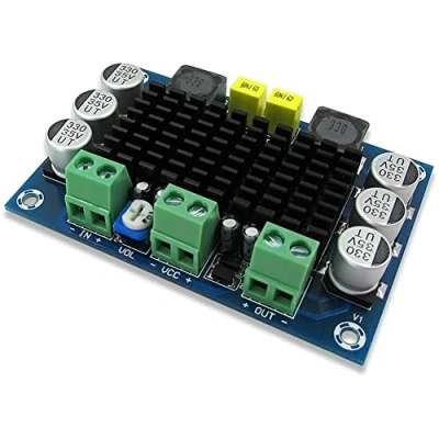Imagen de Fasizi DC 12V 24V TPA3116 D2 100W Mono Channel Digital Audio Placa de Amplificador Potencia para Coche