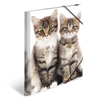 Imagen de HERMA 7138 carpetas A4 de animales, gatos, paquete 3, esquina plástico para niños con impresión interior y banda elástica, juego resistente