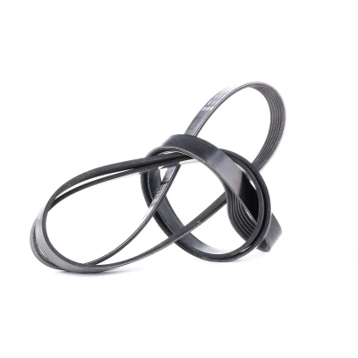 Imagen de DAYCO 6PK2120 Correa trapecial poli V 2120,0 6 MERCEDES BENZ: Clase E Berlina, C W124 FORD: Focus Mk1 Hatchback
