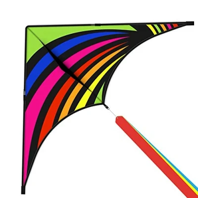 Imagen de Mint&#039;s Colorful Life Delta Kite para niños y adultos, cometa extremadamente fácil de volar con 3 cintas cuerda 300 pies, la mejor principiantes (arcoíris)