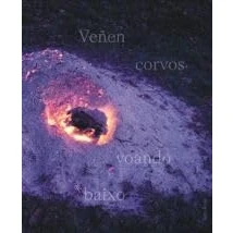 Imagen de Veñen Corvos Voando Baixo