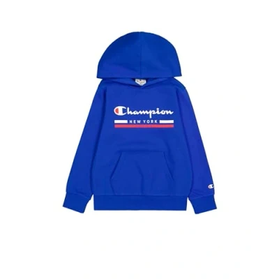 Imagen de Champion Graphic Hoodie Unisex Jersey con capucha para niños, Talla: 3 4a, Bai
