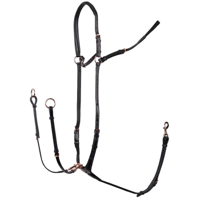 Imagen de Harry&#039;s Horse Pechopetrale Oro Rosa Full Negro