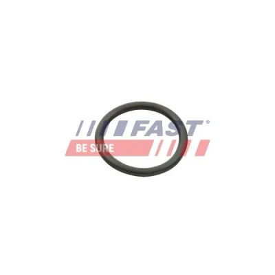 Imagen de FAST FT49934 Juntas bomba de agua