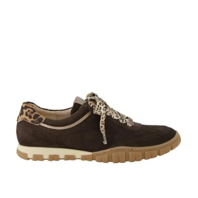 Imagen de Paul Green Zapatillas, Mujer, Talla: 42, Dark brown Zapatos