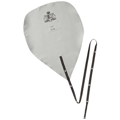 Imagen de BG ABG A32F Swab microfibra para flauta