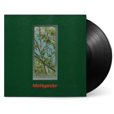 Imagen de Michigander Vinilo