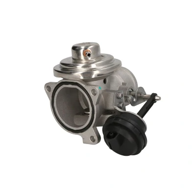 Imagen de NGK 95823 Válvula EGR neumático con juntas SEAT: Leon I Hatchback, Toledo 2 Limousine, Ibiza 3, VOLKSWAGEN: Golf 4, Polo IV 4 Variant