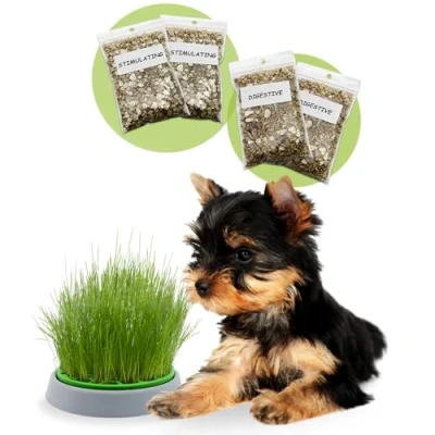 Imagen de R&amp;R SHOP Kit Hierba para Perros Double Seeds Maceta Germinadora, 2 Tipos de Perros, Estimulante y Digestiva, 4 Sobres Semillas Sustrato, Apto Todos los