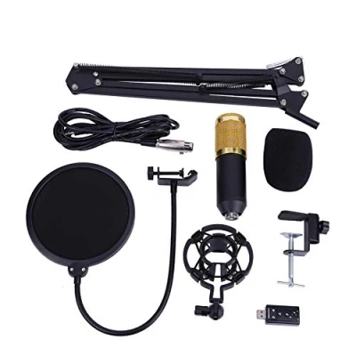 Imagen de SOULONG micrófono de condensador BM800 con montaje choque, profesional brazo ajustable, estudio radio y grabación