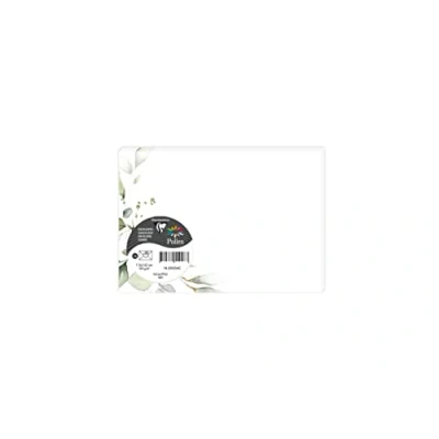 Imagen de Clairefontaine 55036C COLLECTION EUCALYPTUS, paquet de 20 enveloppes imprimées Pollen 114x162 120g, Vert 2