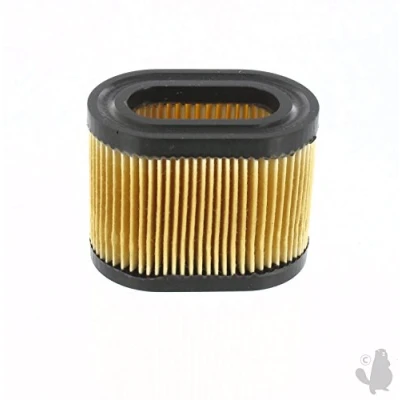 Imagen de Greenstar 27689 Filtro de aire tecumseh centura 5,5 cv / tvs90 lev115 lev120