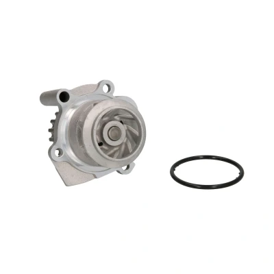 Imagen de THERMOTEC D1W037TT Bomba de agua 19 con junta mecánico VOLKSWAGEN: Golf 5, Touran I, Transporter 5 Bus, SEAT: Leon II Hatchback, Ibiza 3
