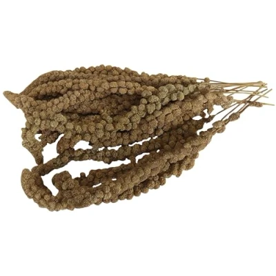 Imagen de Aimé Mijo en Rama Pajaros 250g Racimos y Semillas para Domésticos 100% Natural Golosinas Pájaros Evita Aburrimiento la Ansiedad Producción Francesa Comida