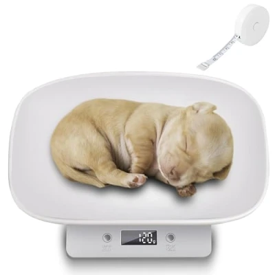 Imagen de báscula digital para animales pequeños: Nizirioo Pequeña animales, de alimentación bebés, 15 kg, con ± 1 gramo, bandeja extraíble gatitos, cachorros, hámsters, pájaros