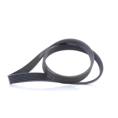 Imagen de CONTITECH 6PK1019 ELAST Correa trapecial poli V 1019 6 FORD: FIESTA 5, 6, FOCUS 3, MAZDA: 2 Hatchback norauto, oscaro, mister auto