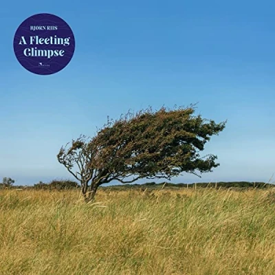 Imagen de A fleeting glimpse
