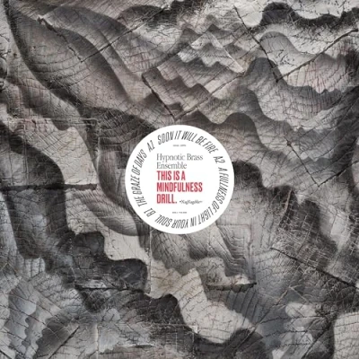 Imagen de This Is A Mindfulness Drill [Vinilo]