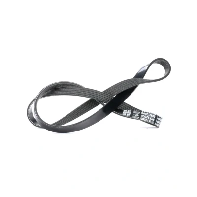 Imagen de DAYCO 5PK1200 Correa trapecial poli V 1200,0 5 RENAULT: MEGANE 2 Stufenheck, CLIO 2, OPEL: Corsa D Hatchback, Astra J Hatchback