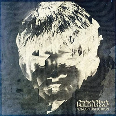 Imagen de Concept unification [Vinilo]
