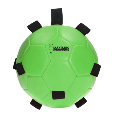 Imagen de Maximus Fun Play Pelota Azul 19 Verde