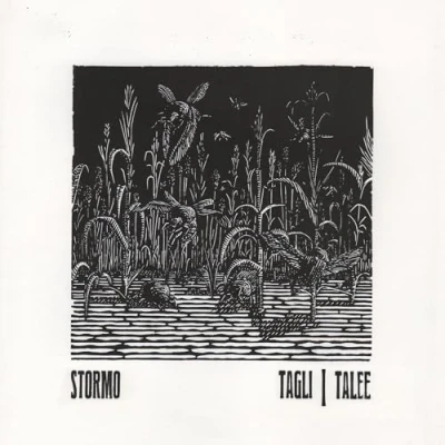 Imagen de Tagli/talee Stormo