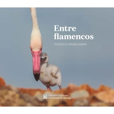 Imagen de Entre Flamencos