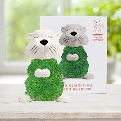 Imagen de Gift Republic Juego de Castor para Cultivar Semillas chía Cuenco Cultivo en Forma Kit iniciación chia Plantas Regalo Navidad,