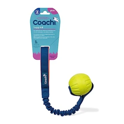 Imagen de Coachi Tuggi Ball, disegno robusto, leggero, duraturo, sicuro e divertente, manico a molla, per cani cuccioli, ricompense, richiamo, scoraggia morsi masticazione eccessiva, perfetto l’agilità.