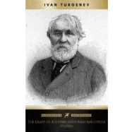 Imagen de The Diary Of A Superfluous Man And Other Stories (ebook)