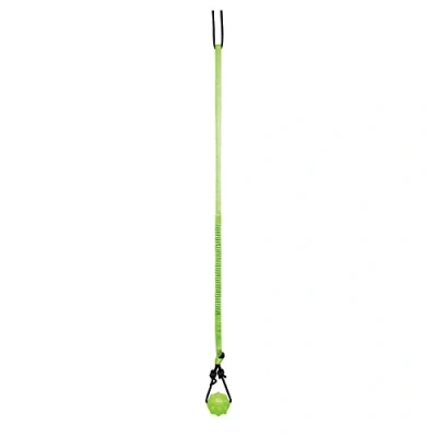 Imagen de Jolly Pets Juguete para Perros (Talla Única) (Verde, Negro)