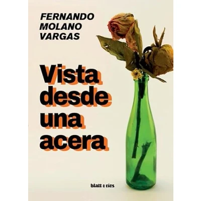 Imagen de Vista desde una acera (SIN COLECCION)