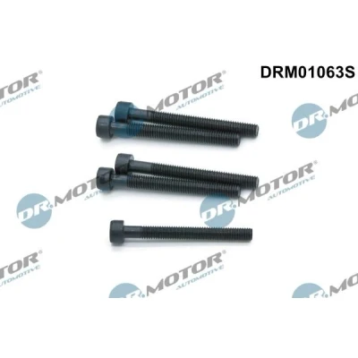 Imagen de DR.MOTOR AUTOMOTIVE DRM01063S Tornillo, soporte inyector VOLKSWAGEN: Transporter 5, Multivan 5 (7HM, Bus